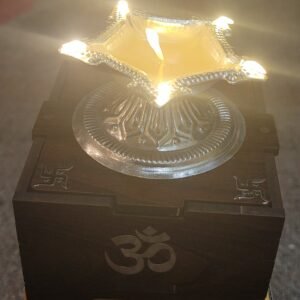 Solar Silver Niranjan